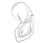 ROMP - ROSE STRUMENTO DI ASPIRAZIONE CLITORIDEA GLOW CHE SI ILLUMINA AL BUIO